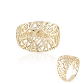 Gouden ring (Ornaments by de Melo)