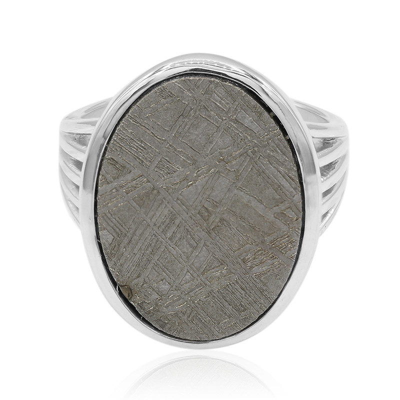 teksten Afhankelijkheid flauw Zilveren ring met een Ijzer Meteoriet-7345BG | Juwelo sieraden