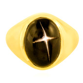 Gouden ring met een Indische Ster Diopsied