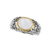 Zilveren ring met een parelmoer (dagen)