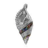 Zilveren hanger met een Abalone schelp (Art of Nature)