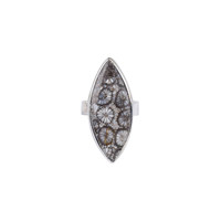 Zilveren ring met een Versteend koraal