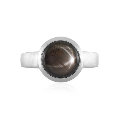 Zilveren ring met een zwarte ster saffier (MONOSONO COLLECTION)