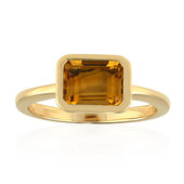 Gouden ring met een citrien (Adela Gold)