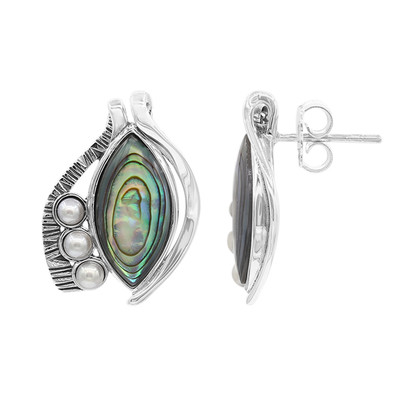 Zilveren oorbellen met Abalone schelpen (MONOSONO COLLECTION)