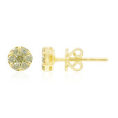 Gouden oorbellen met Si1 Kanarie Diamanten (Annette)