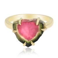 Zilveren ring met een watermeloen-toermalijn