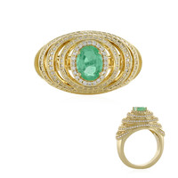 Gouden ring met een Colombiaanse smaragd (de Melo)
