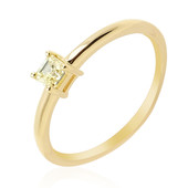 Gouden ring met een VVS2 Gele Diamant (de Melo)