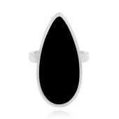 Zilveren ring met een zwarte onyx (MONOSONO COLLECTION)