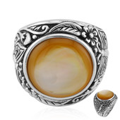 Zilveren ring met een parelmoer (Art of Nature)