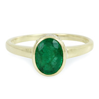 Gouden ring met een Nova Era smaragd