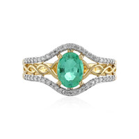 Gouden ring met een Columbiaanse smaragd (AMAYANI)