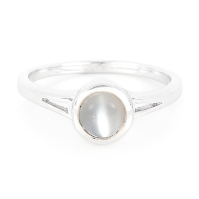Zilveren ring met een kattenoog Ceylon maansteen