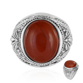 Zilveren ring met een rode jaspis (Art of Nature)