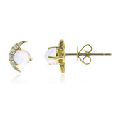 Gouden oorbellen met AAA Welo-opalen (CIRARI)