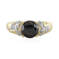 Gouden ring met een zwarte diamant (AMAYANI)