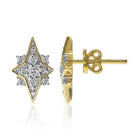 Gouden oorbellen met Diamanten SI1 (G)