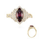 Gouden ring met een roze zirkoon (Adela Gold)