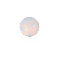 Edelsteen met een Welo-opaal 1.532 ct