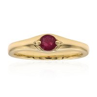 Gouden ring met een rode beril