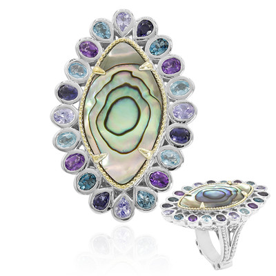 Zilveren ring met een Abalone schelp (Dallas Prince Designs)