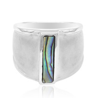 Zilveren ring met een Abalone schelp