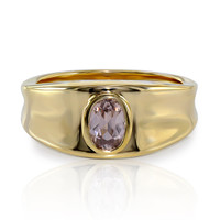 Gouden ring met een Hartsiet Zirkoon (Mark Tremonti)