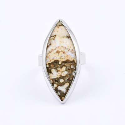 Zilveren ring met een oceaan jaspis