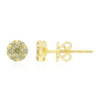 Gouden oorbellen met Si1 Kanarie Diamanten