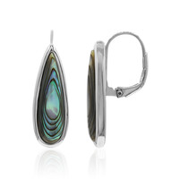 Zilveren oorbellen met Abalone schelpen