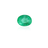 Edelsteen met een Zambia-smaragd 0,284 ct