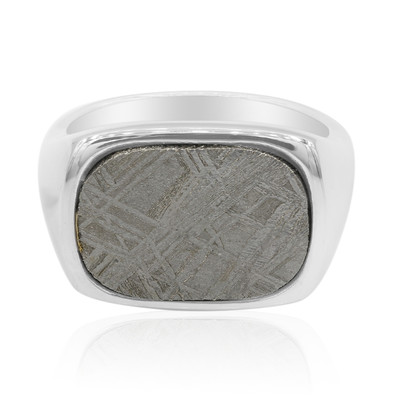 Zilveren ring met een Ijzer Meteoriet