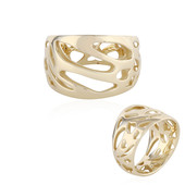 Gouden ring (Ornaments by de Melo)