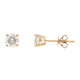 Gouden oorbellen met SI1 (H) Diamanten (CIRARI)