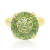 Gouden ring met een Fern Groen Kwarts (Glenn Lehrer)