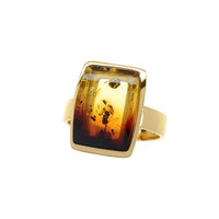 Zilveren ring met een Baltische barnsteen