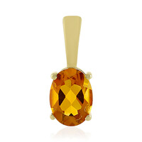 Gouden hanger met een Brandy Citrien