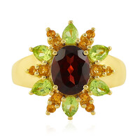 Zilveren ring met een framboos rhodoliet
