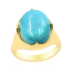 Zilveren ring met een Mine 8 Turkoois (Anne Bever)