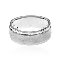 Zilveren ring