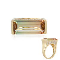 Gouden ring met een meerkleurige toermalijn (de Melo)