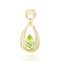 Gouden hanger met een Capelinha sfeen