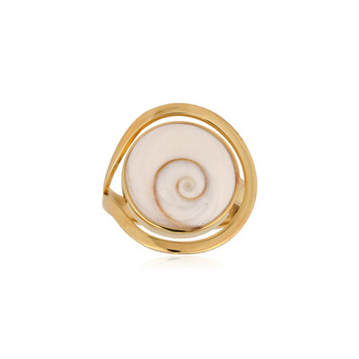 Zilveren ring met een Shiva oog (Bali Barong)