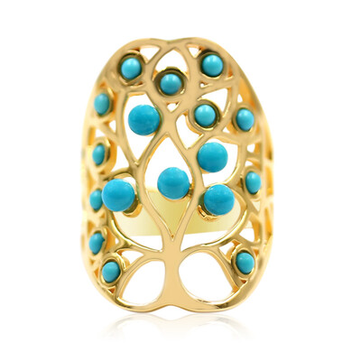 Zilveren ring met Sleeping Beauty Turkooisen (Anne Bever)
