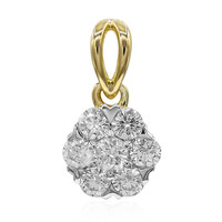 Gouden hanger met een IF Diamant (D)