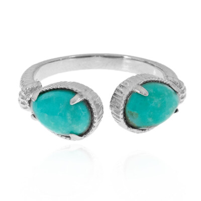 Zilveren ring met Campitos Turkooisen (Anne Bever)