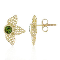 Gouden oorbellen met Braziliaanse Groene Toermalijnen (Ornaments by de Melo)