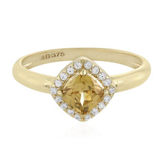 Gouden ring met een Vibhor Zirkoon