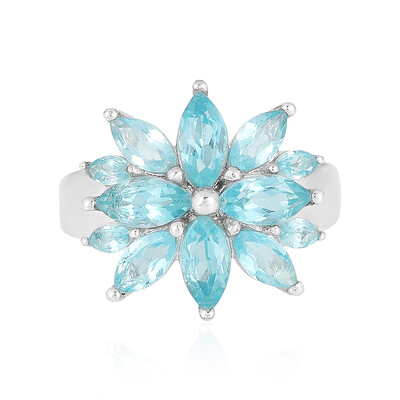 Zilveren ring met Blauwe apatieten